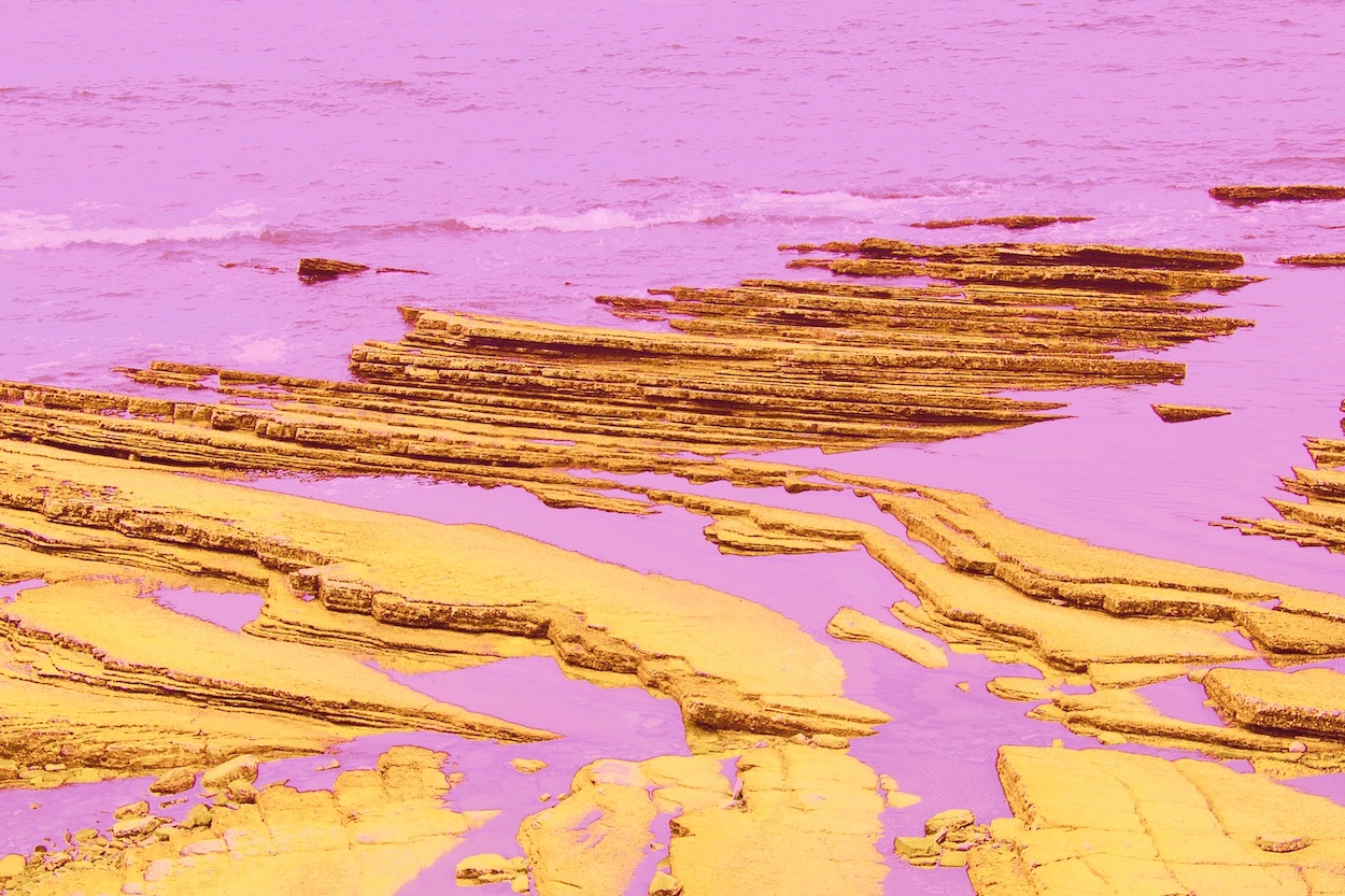 roche multicolore X